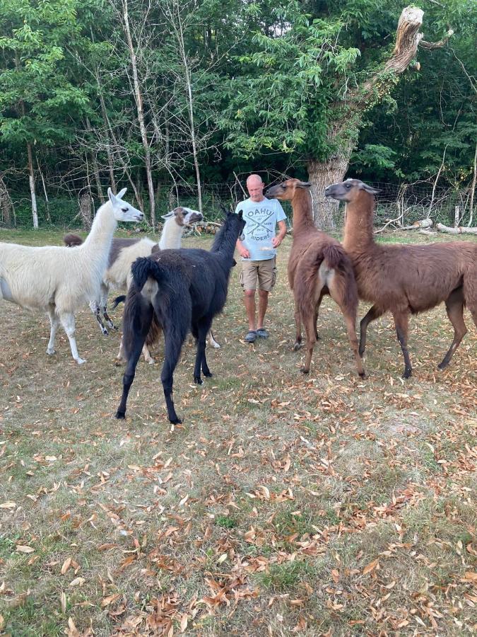 The Llama Farm France Saint-Cyr-Les-Champagnes Exterior photo