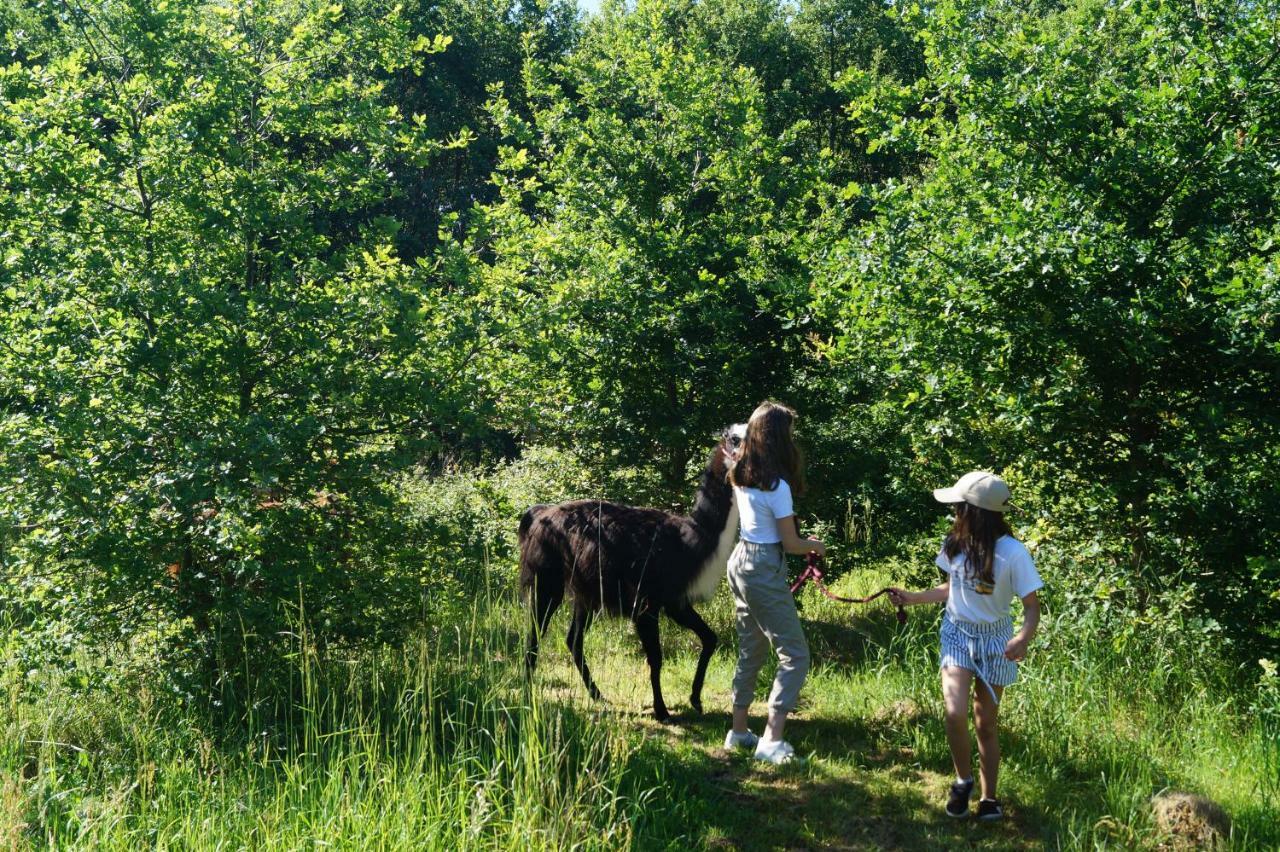 The Llama Farm France Saint-Cyr-Les-Champagnes Exterior photo