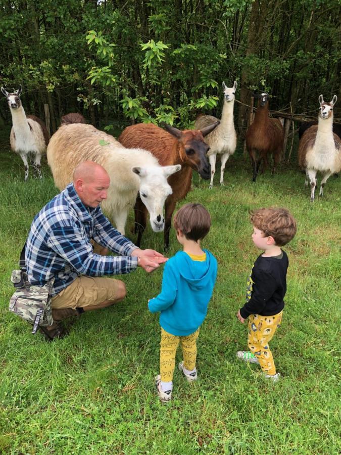 The Llama Farm France Saint-Cyr-Les-Champagnes Exterior photo